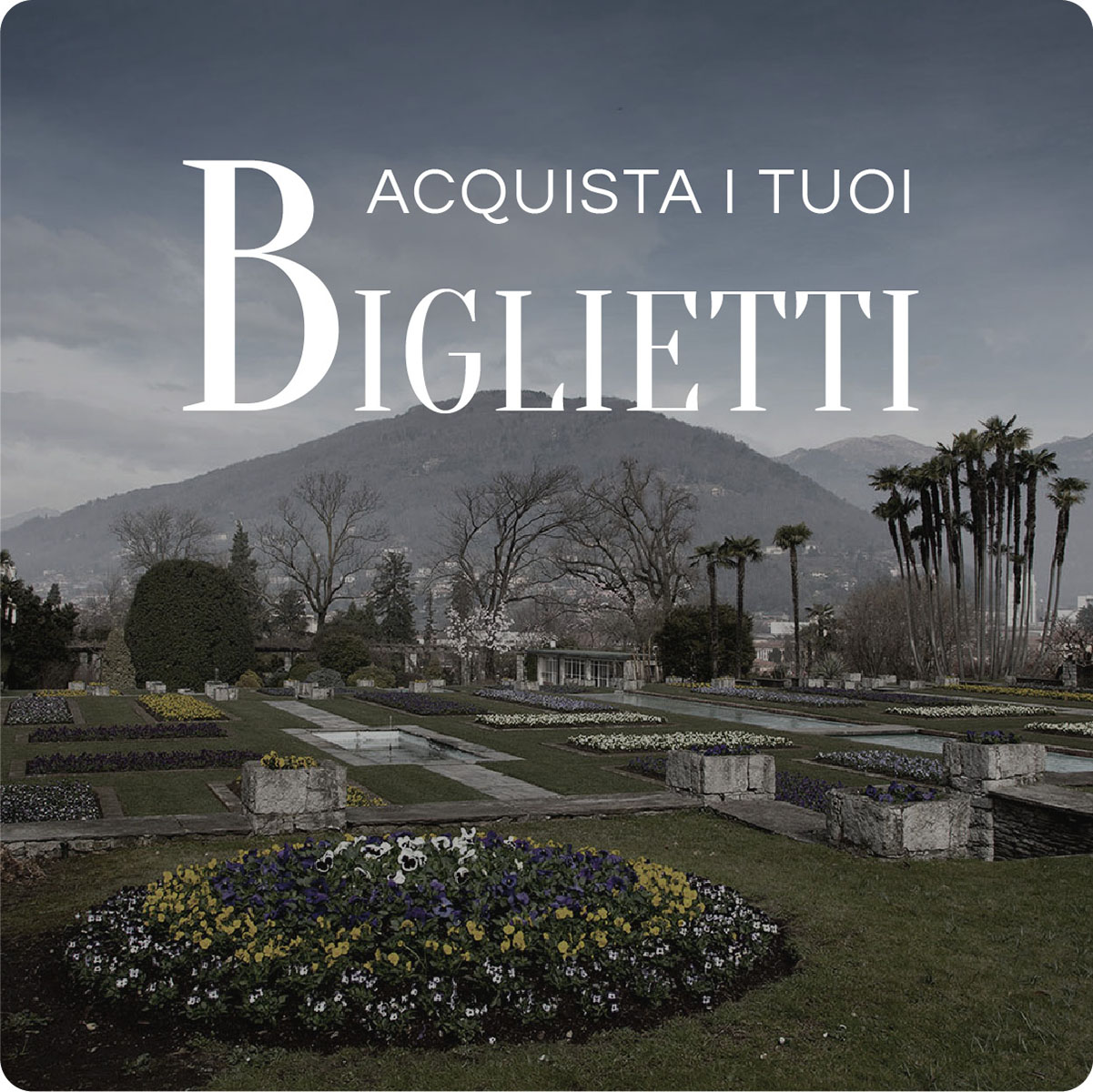 Pulsante acquisto biglietti