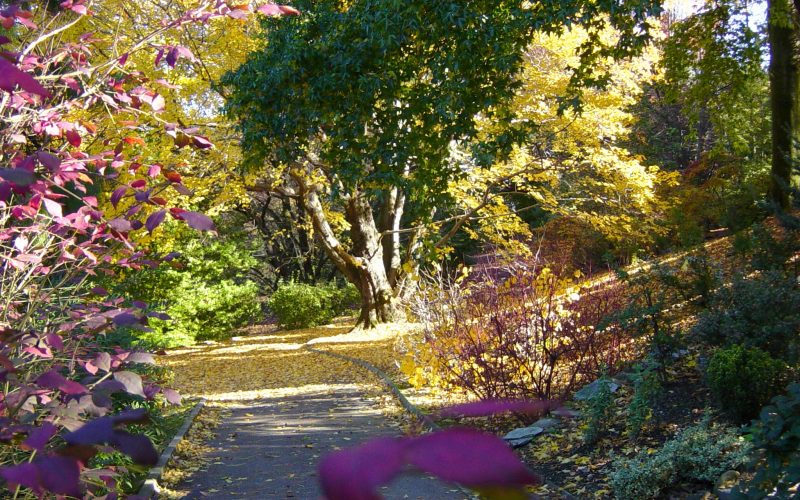 autunno ai giardini botanici di villa taranto
