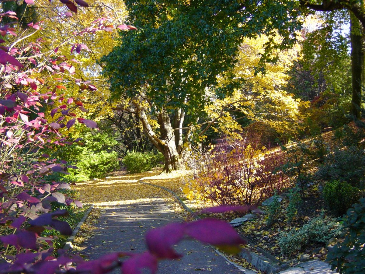 autunno ai giardini botanici di villa taranto