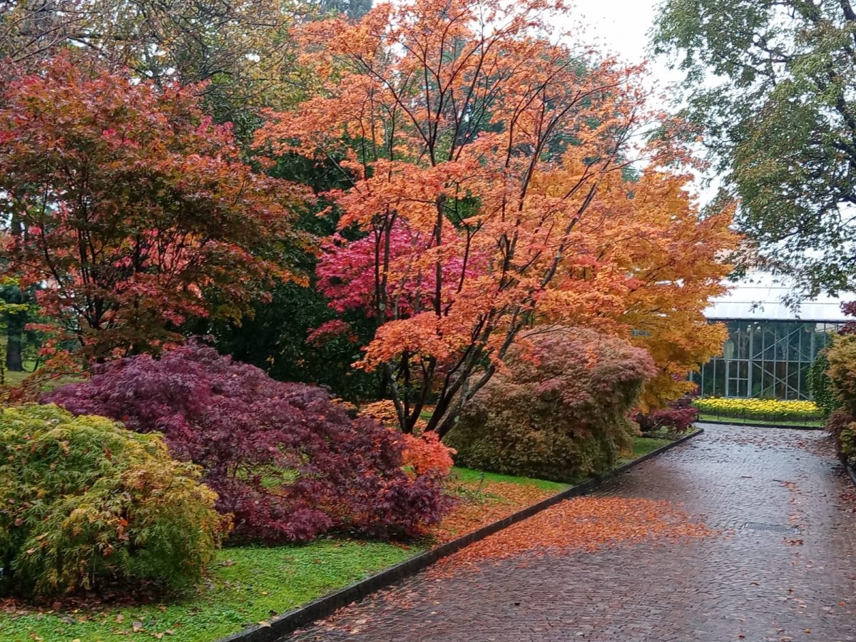 autunno ai giardini botanici di villa taranto