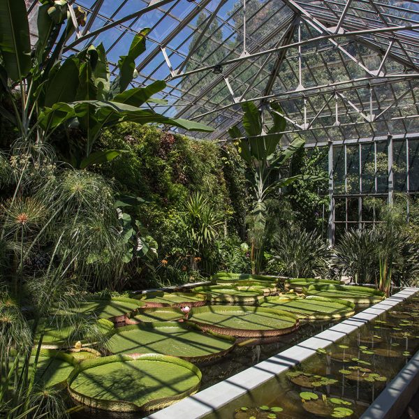Giardini Botanici di Villa Taranto: serra victoria